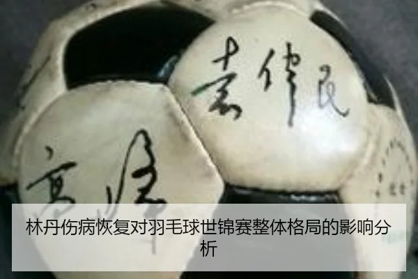lin-dan-shang-bing-hui-fu-dui-yu-mao-qiu-shi-jin-sai-zheng-ti-ge-ju-de-ying-xiang-fen-xi-2-248.jpg